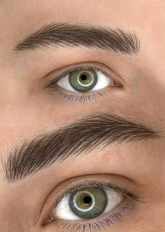 PhiBrows DelPhi Result