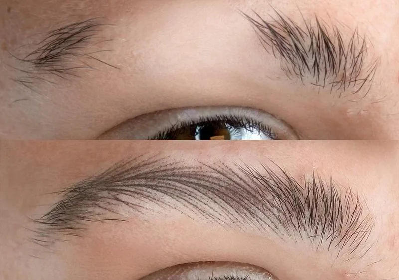 PhiBrows DelPhi